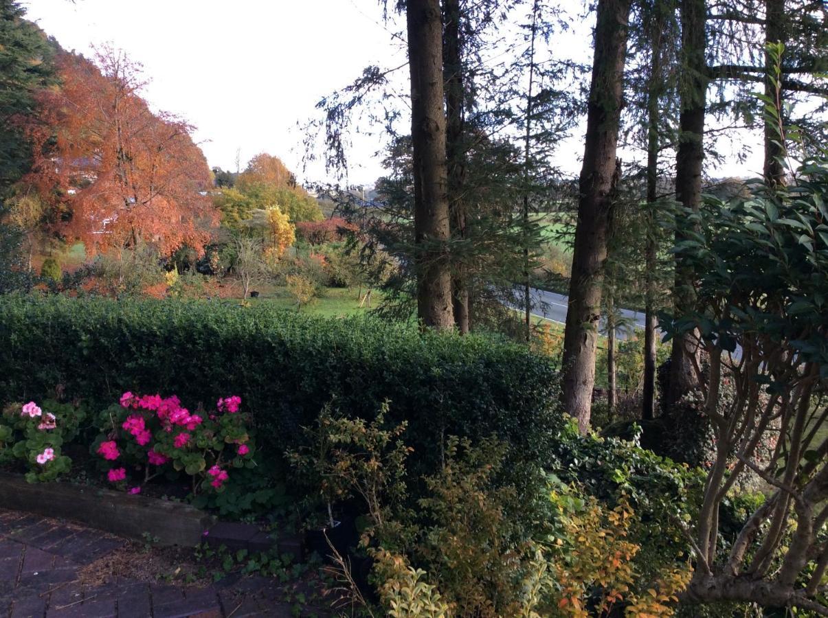 Bed and Breakfast Tan Y Graig Meifod Exterior foto